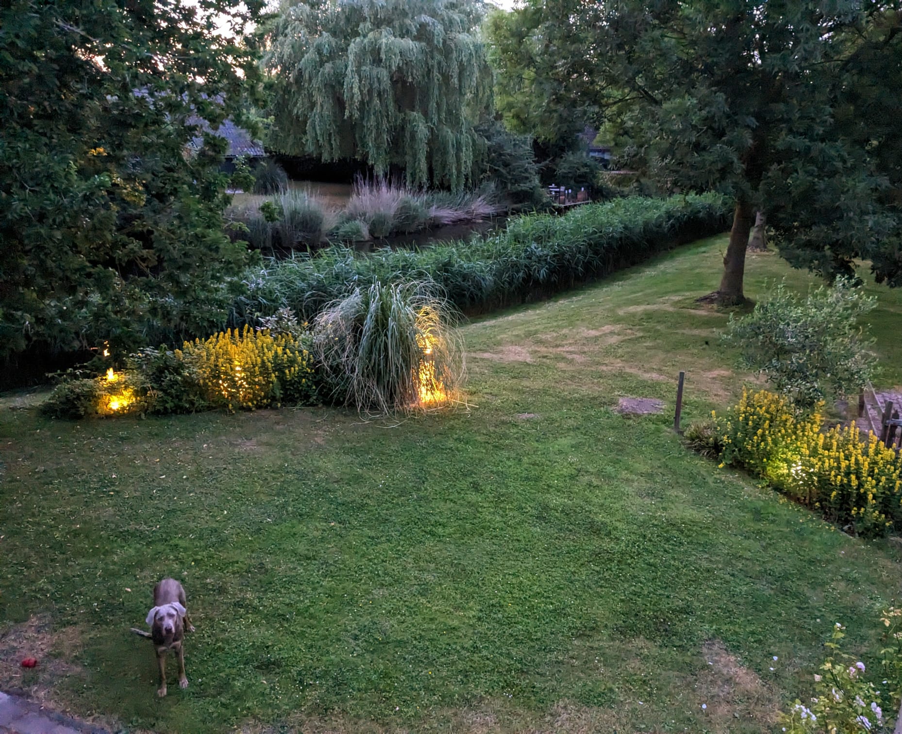 Garten und Umgebung
