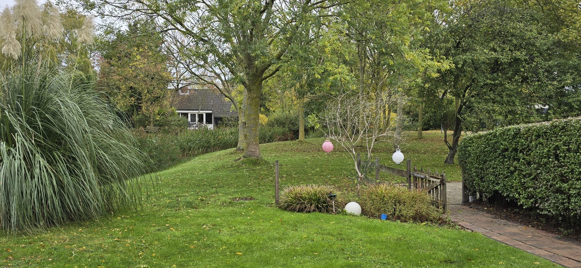 Garten und Umgebung