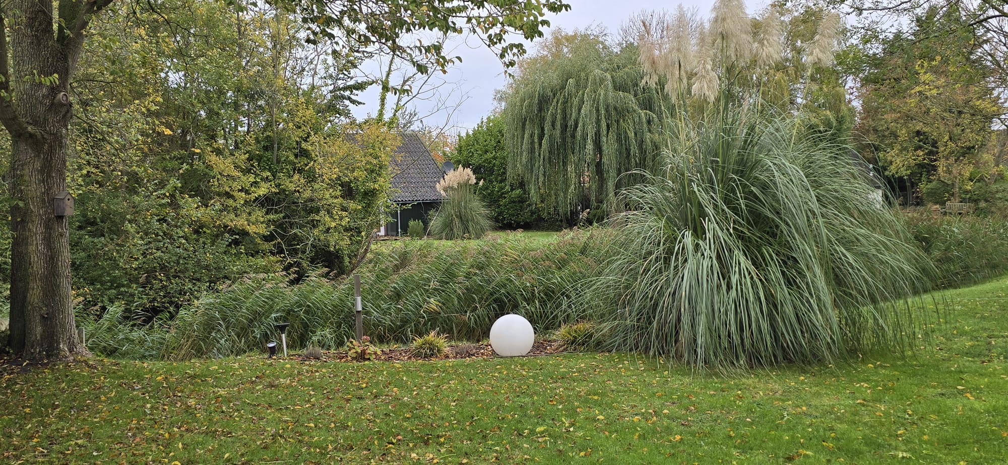 Garten und Umgebung