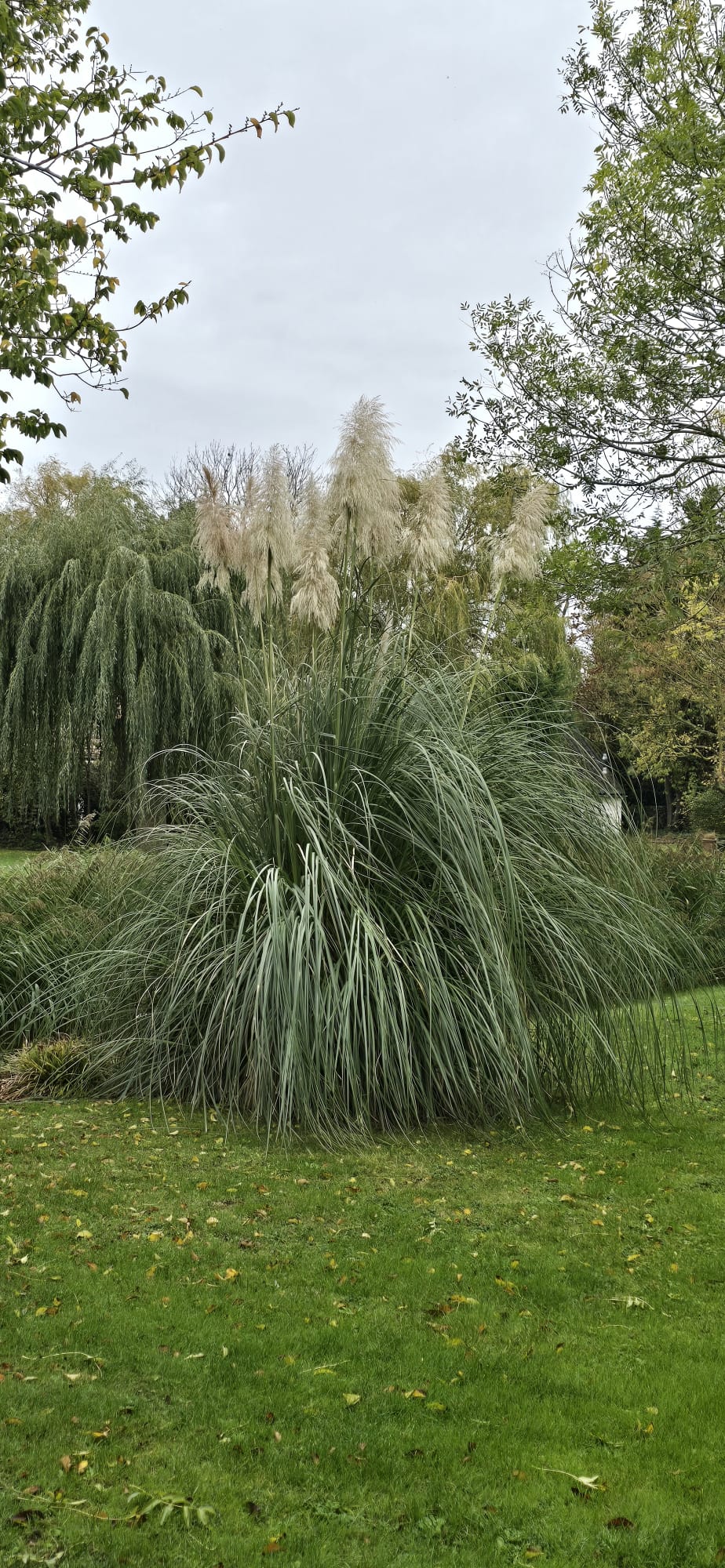 Garten und Umgebung
