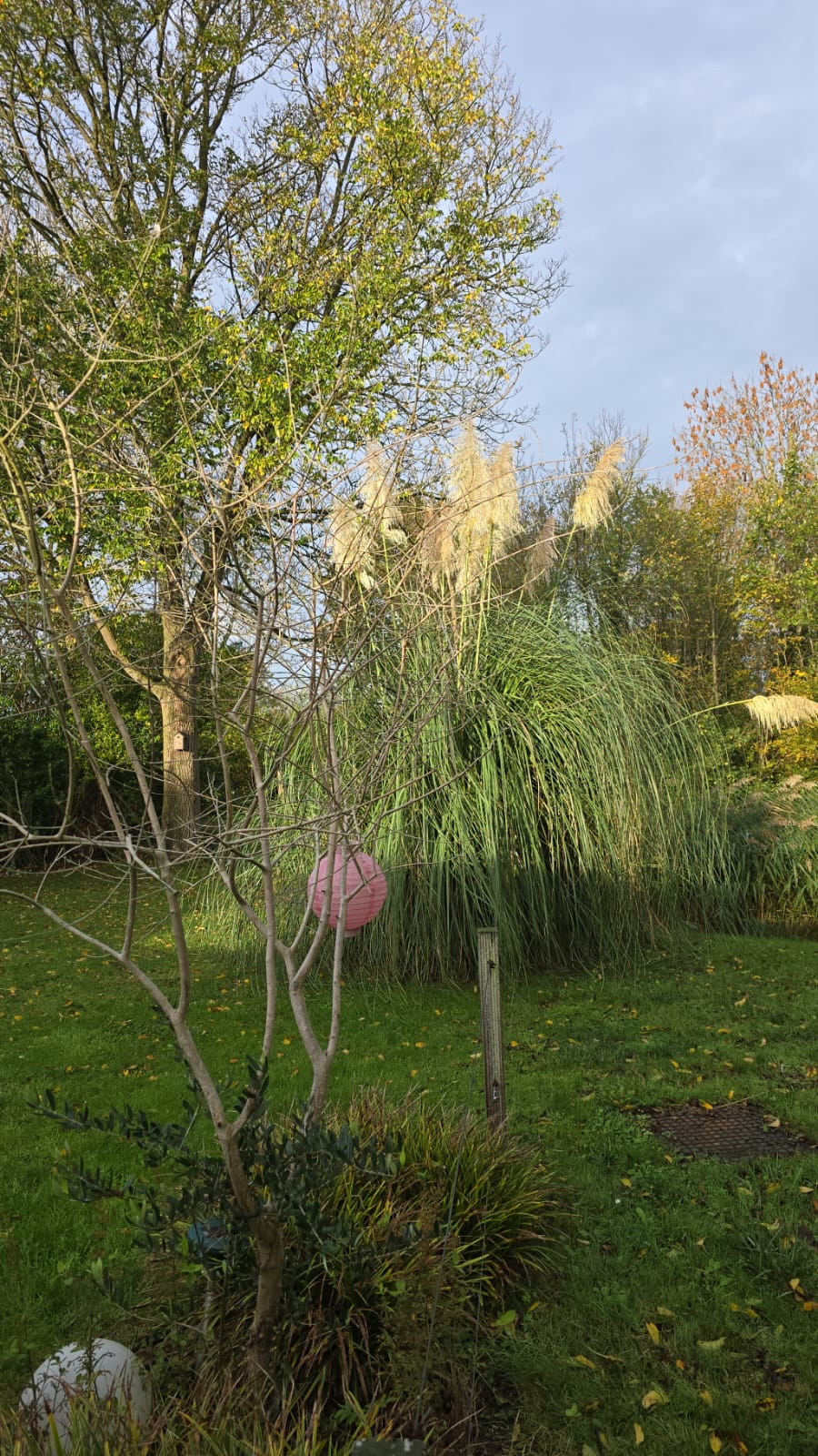 Garten und Umgebung